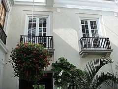 107 Longwood Gardens [2008 August 23]